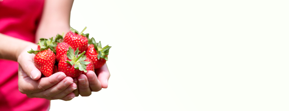 Immaginiamo, comunichiamo, fruttiamo